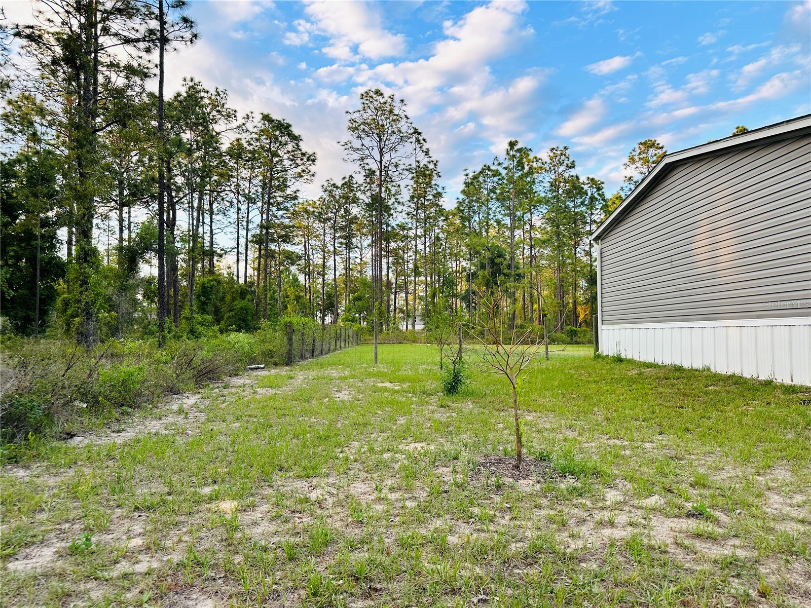 14251 SE 21st Place Morriston FL 32668 OM723508 image14