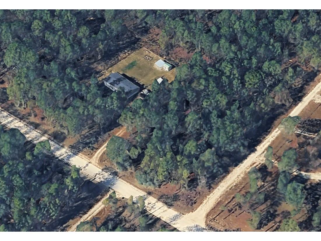 14251 SE 21st Place Morriston FL 32668 OM723508 image16