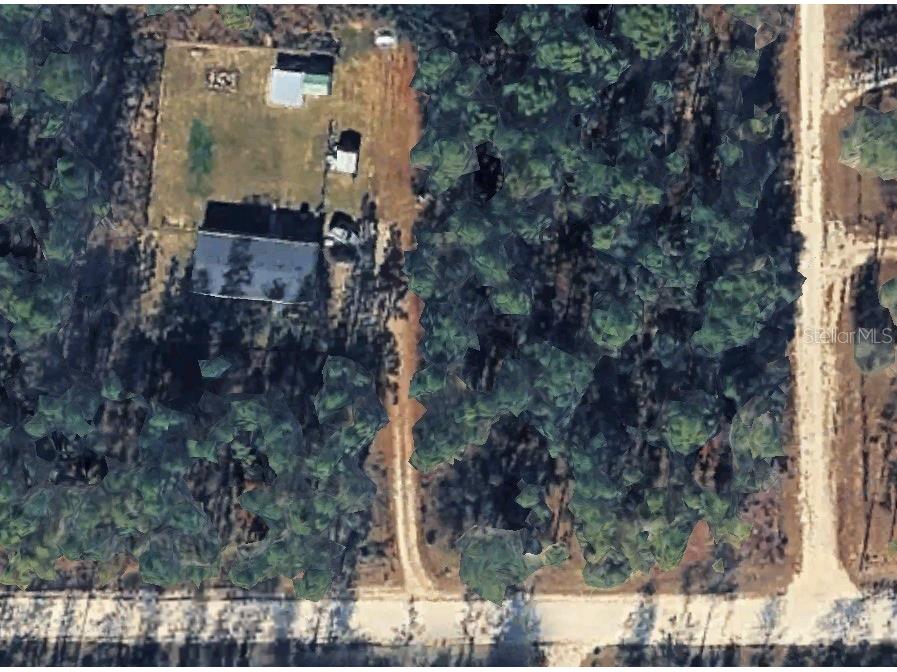 14251 SE 21st Place Morriston FL 32668 OM723508 image17
