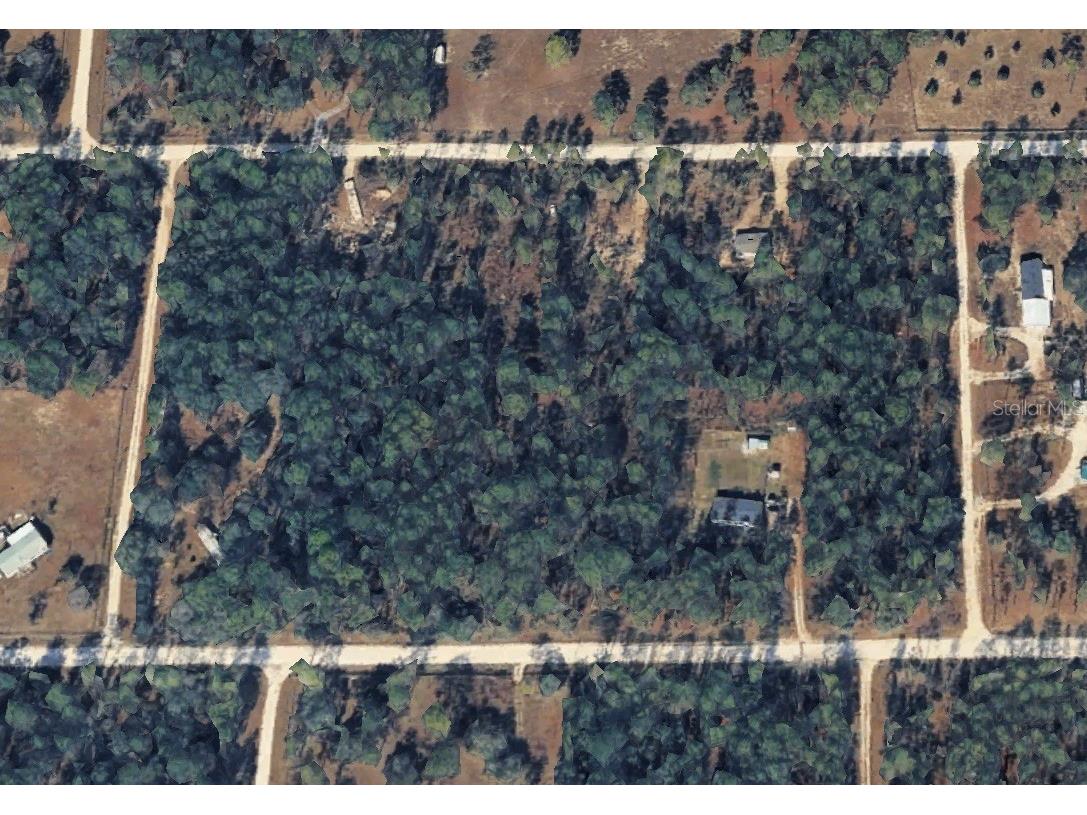 14251 SE 21st Place Morriston FL 32668 OM723508 image18