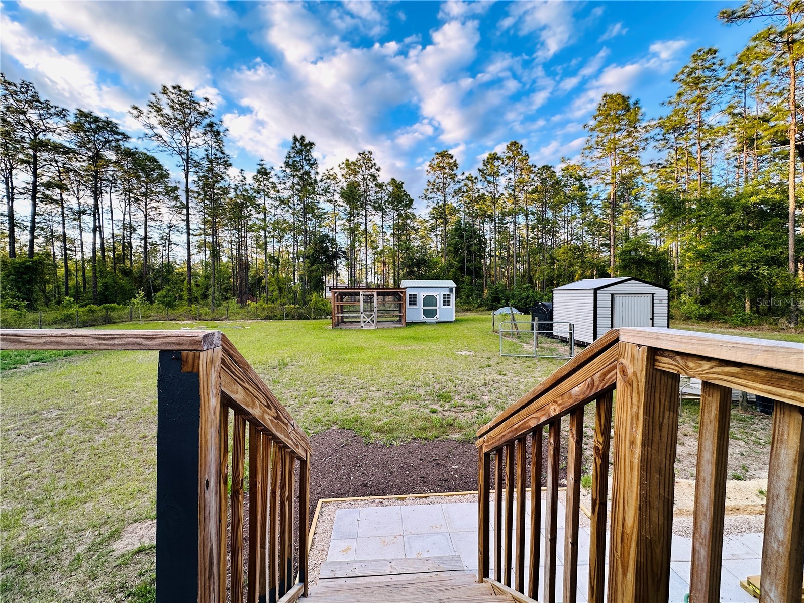 14251 SE 21st Place Morriston FL 32668 OM723508 image39