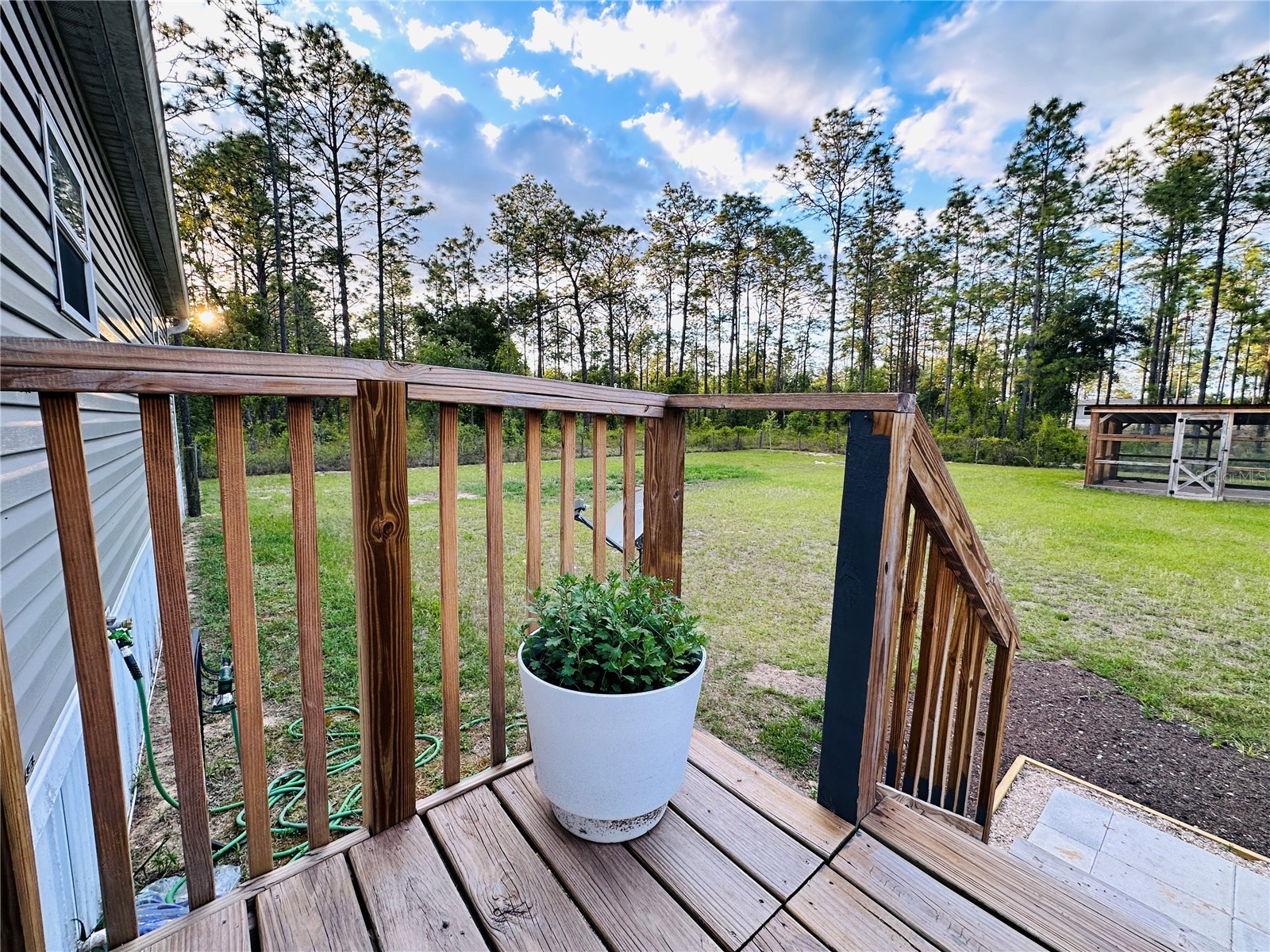 14251 SE 21st Place Morriston FL 32668 OM723508 image40