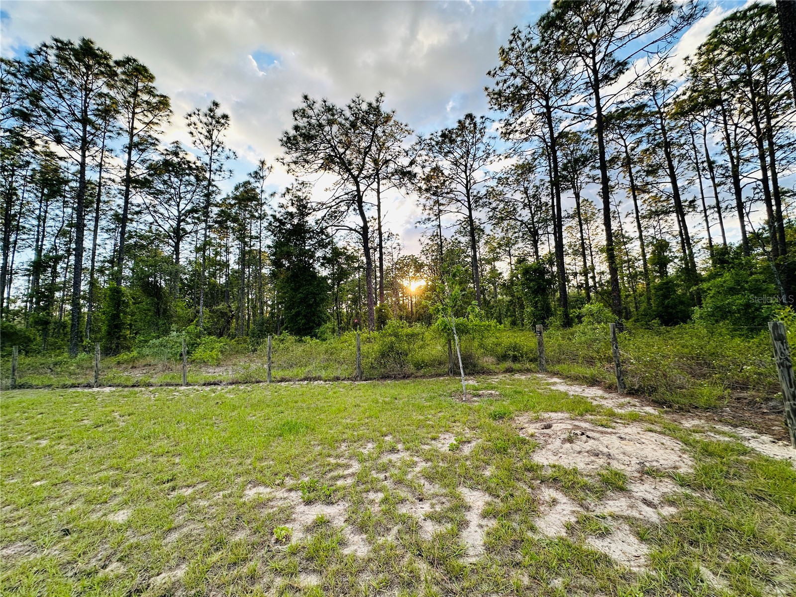 14251 SE 21st Place Morriston FL 32668 OM723508 image43