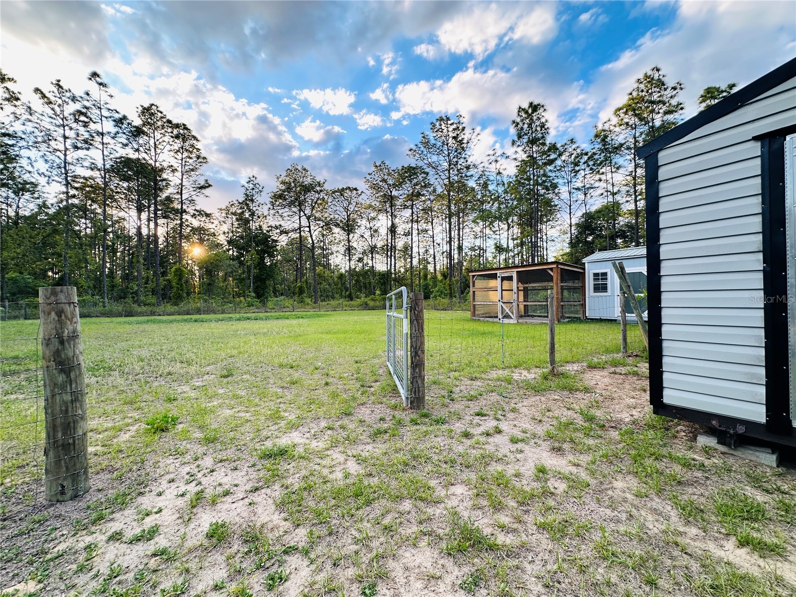 14251 SE 21st Place Morriston FL 32668 OM723508 image46
