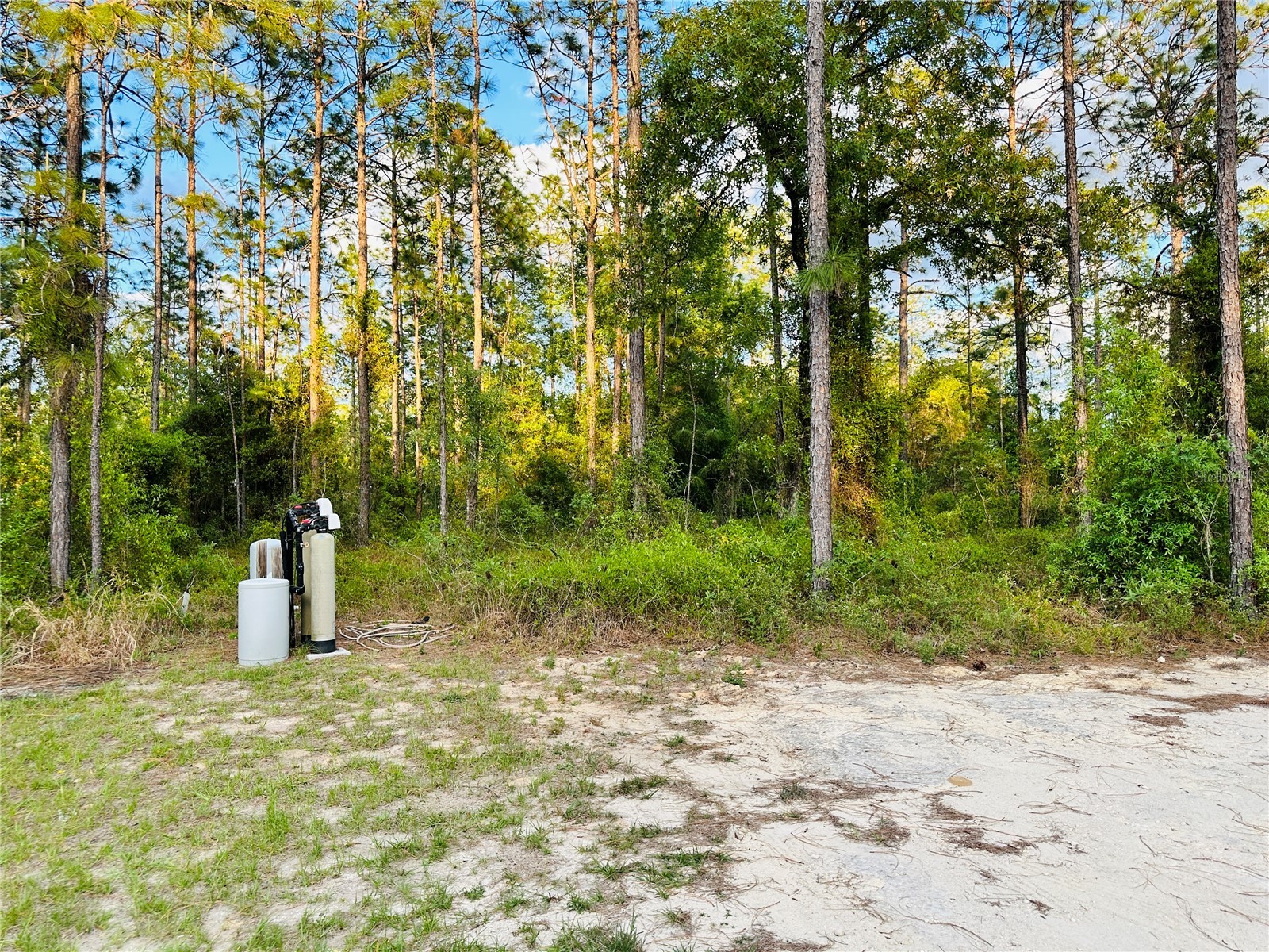 14251 SE 21st Place Morriston FL 32668 OM723508 image48