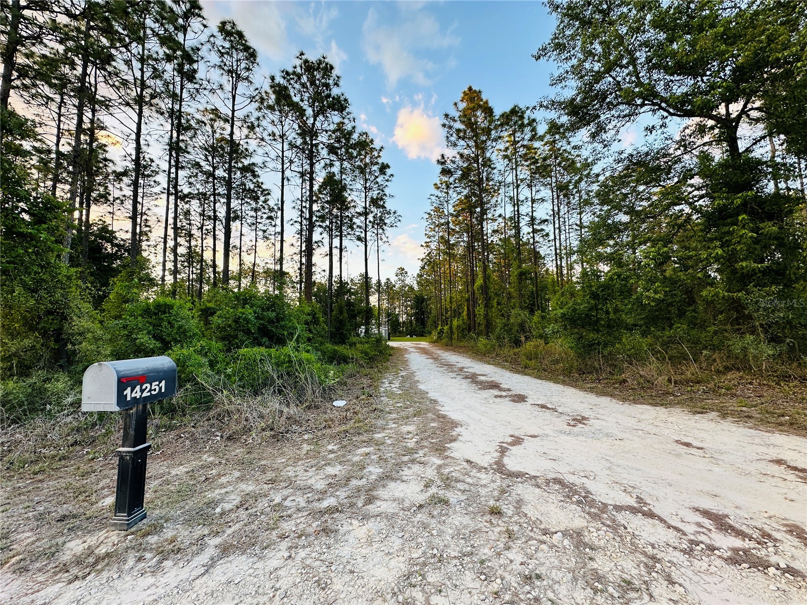 14251 SE 21st Place Morriston FL 32668 OM723508 image49