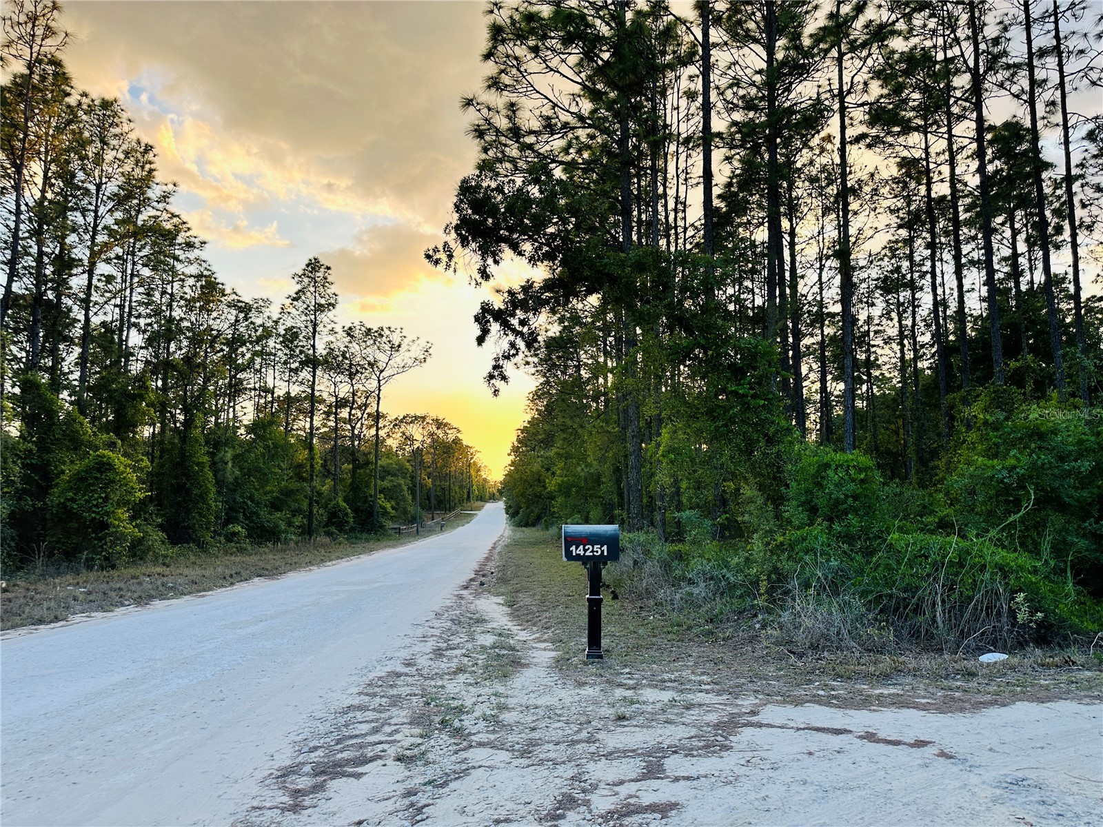 14251 SE 21st Place Morriston FL 32668 OM723508 image50