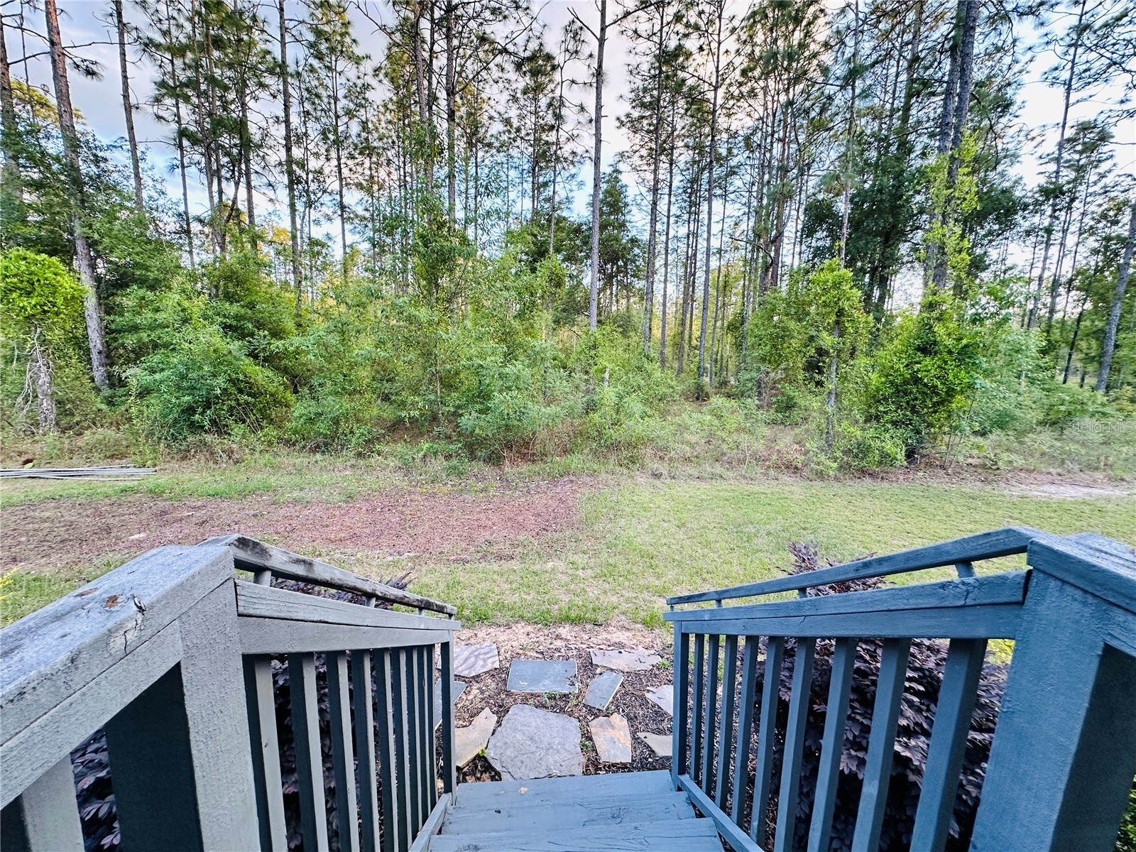 14251 SE 21st Place Morriston FL 32668 OM723508 image6