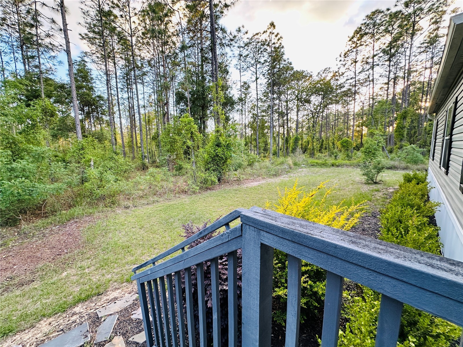 14251 SE 21st Place Morriston FL 32668 OM723508 image7