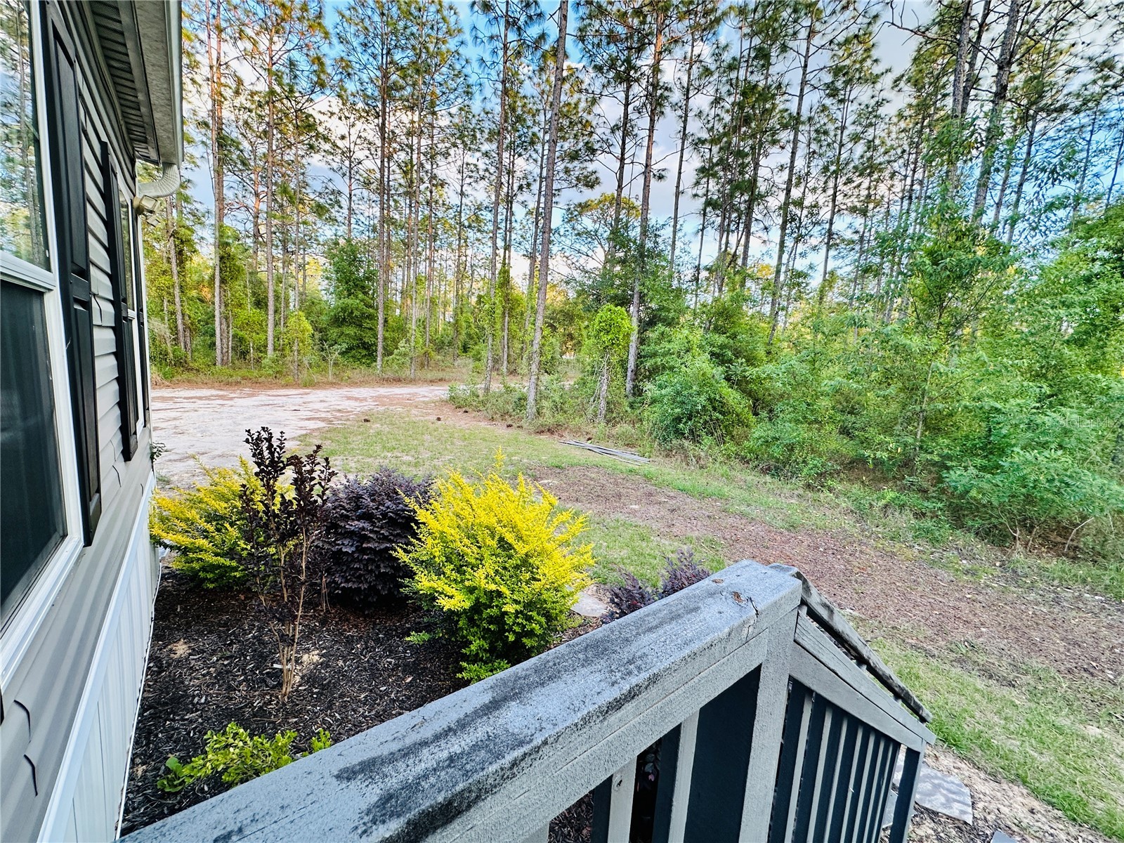 14251 SE 21st Place Morriston FL 32668 OM723508 image8