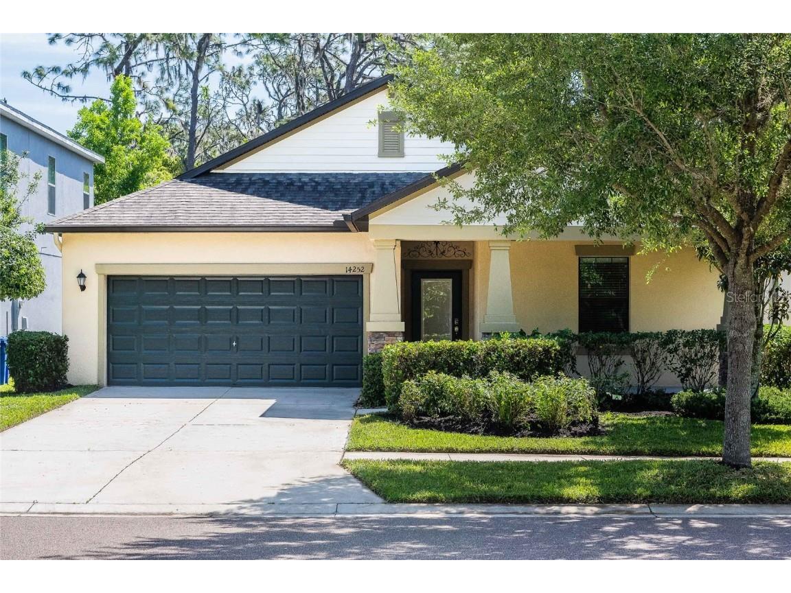 14252 Blue Dasher Drive Riverview FL 33569 T3517214 image1