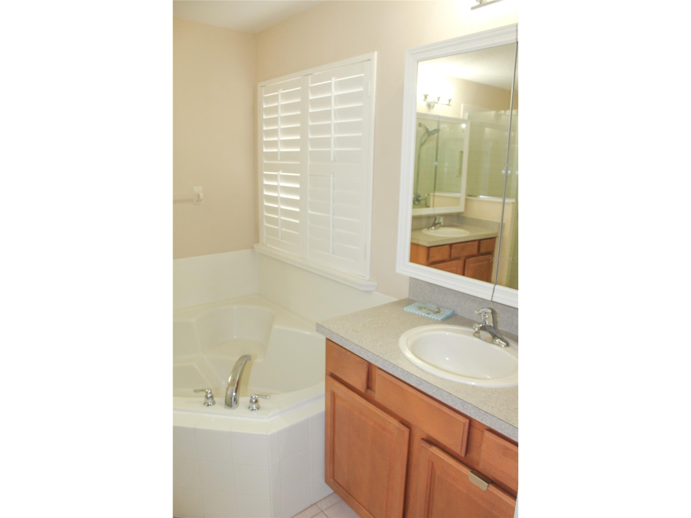 14252 Confetti Drive Windermere FL 34786 O6410196 image18
