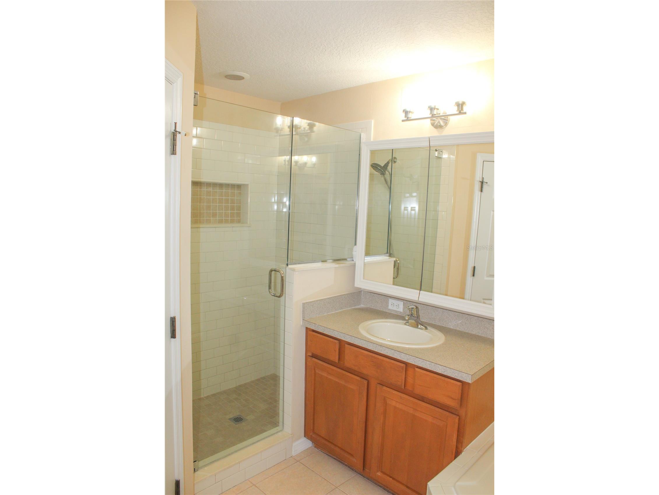 14252 Confetti Drive Windermere FL 34786 O6410196 image20