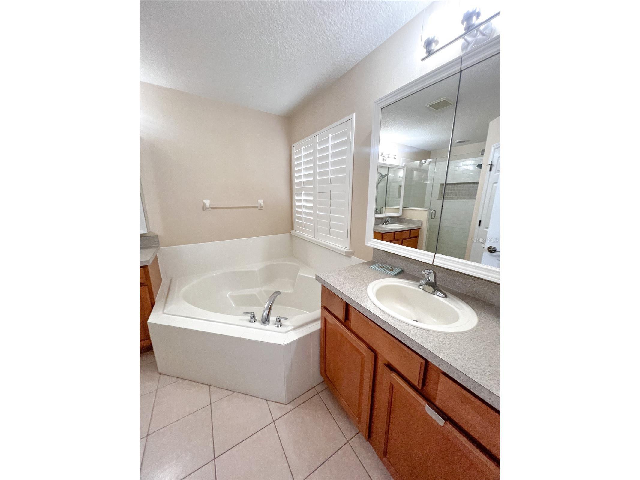 14252 Confetti Drive Windermere FL 34786 O6410196 image45