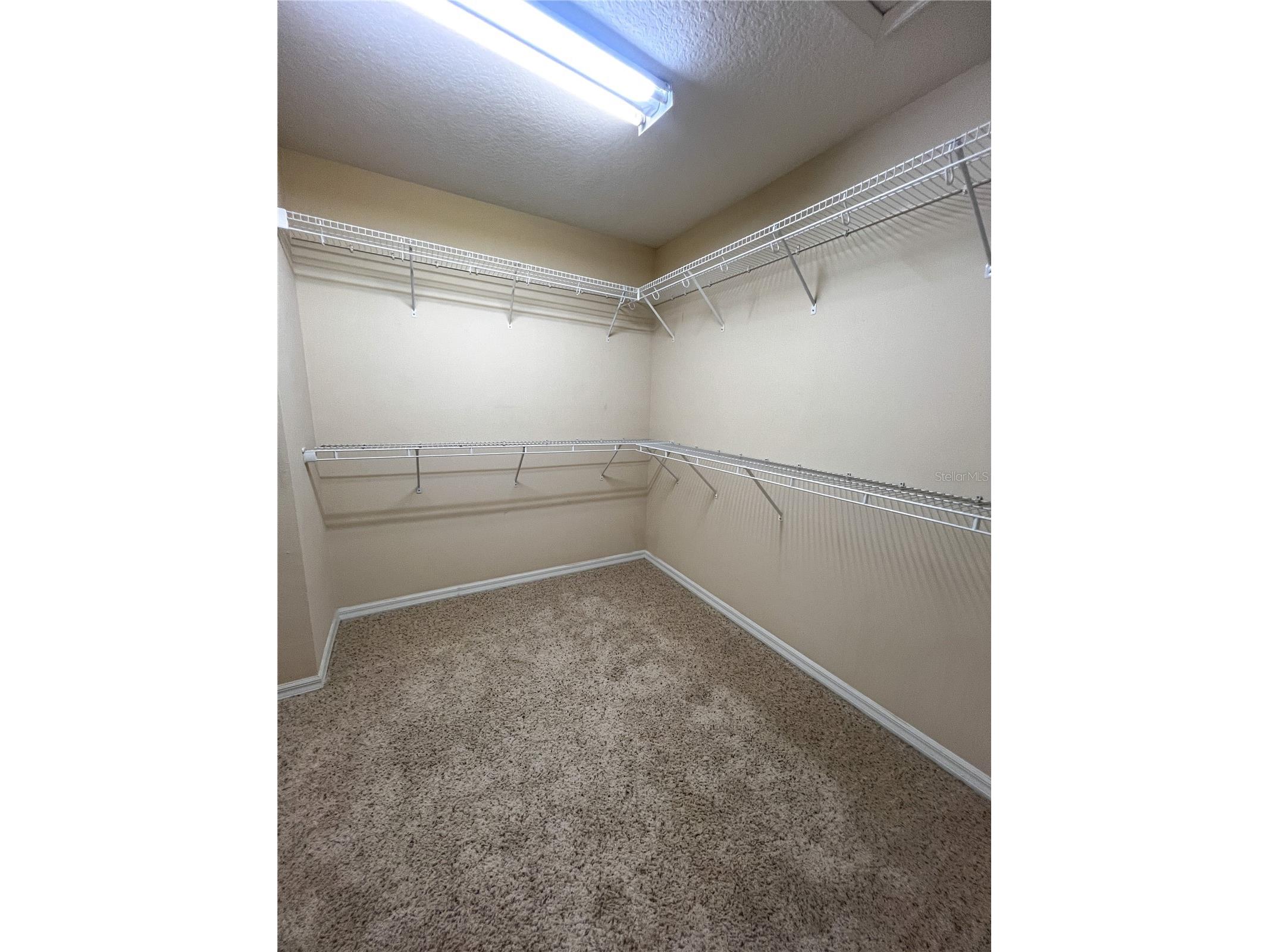 14252 Confetti Drive Windermere FL 34786 O6410196 image48