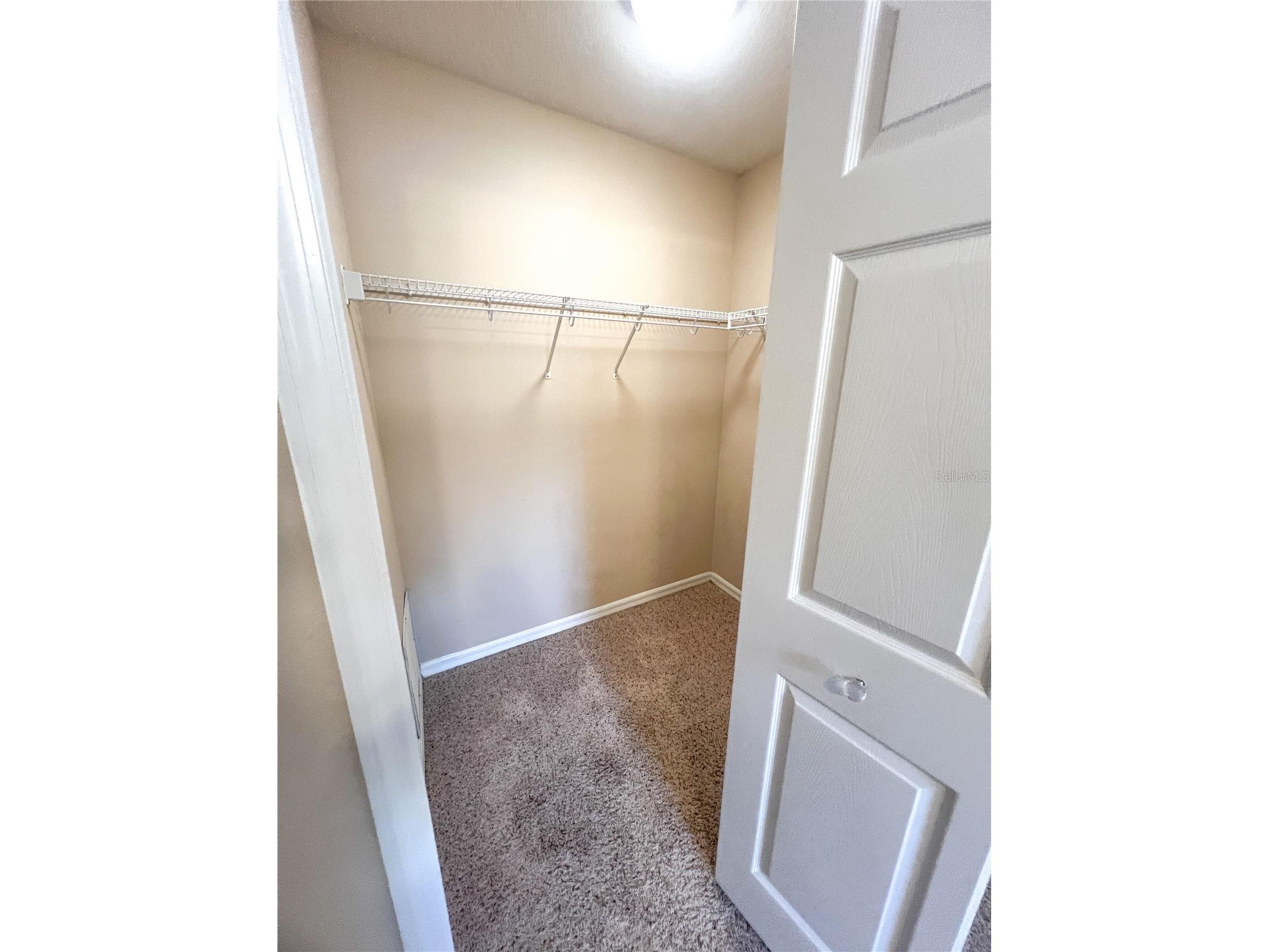 14252 Confetti Drive Windermere FL 34786 O6410196 image51