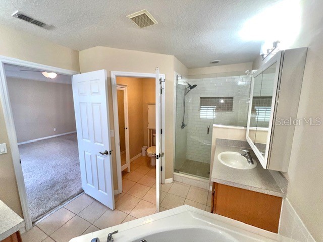 14252 Confetti Drive Windermere FL 34786 O6410196 image67