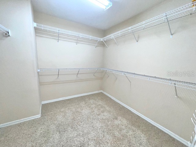 14252 Confetti Drive Windermere FL 34786 O6410196 image71