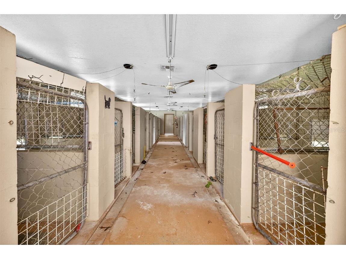 14252 Trinity Road Brooksville FL 34614 TB8452182 image28