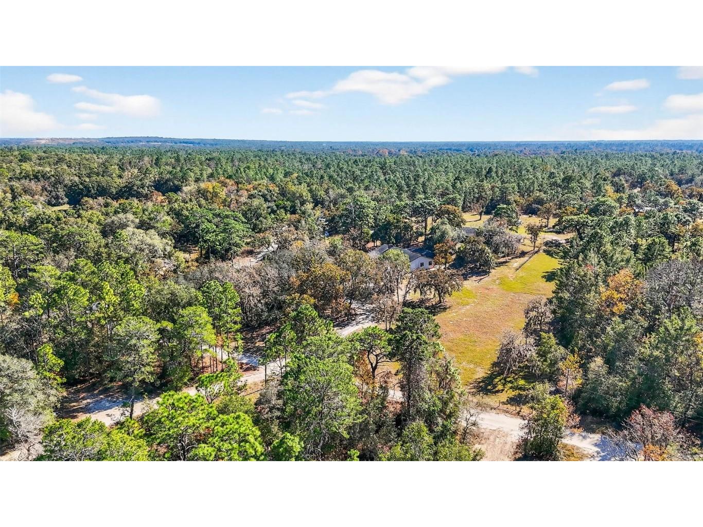 14252 Trinity Road Brooksville FL 34614 TB8452182 image36