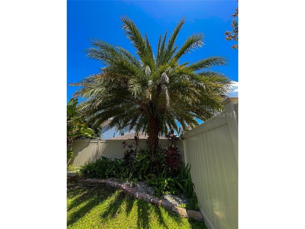 14253 Lake Preserve Orlando FL 32824 O6325872 image11