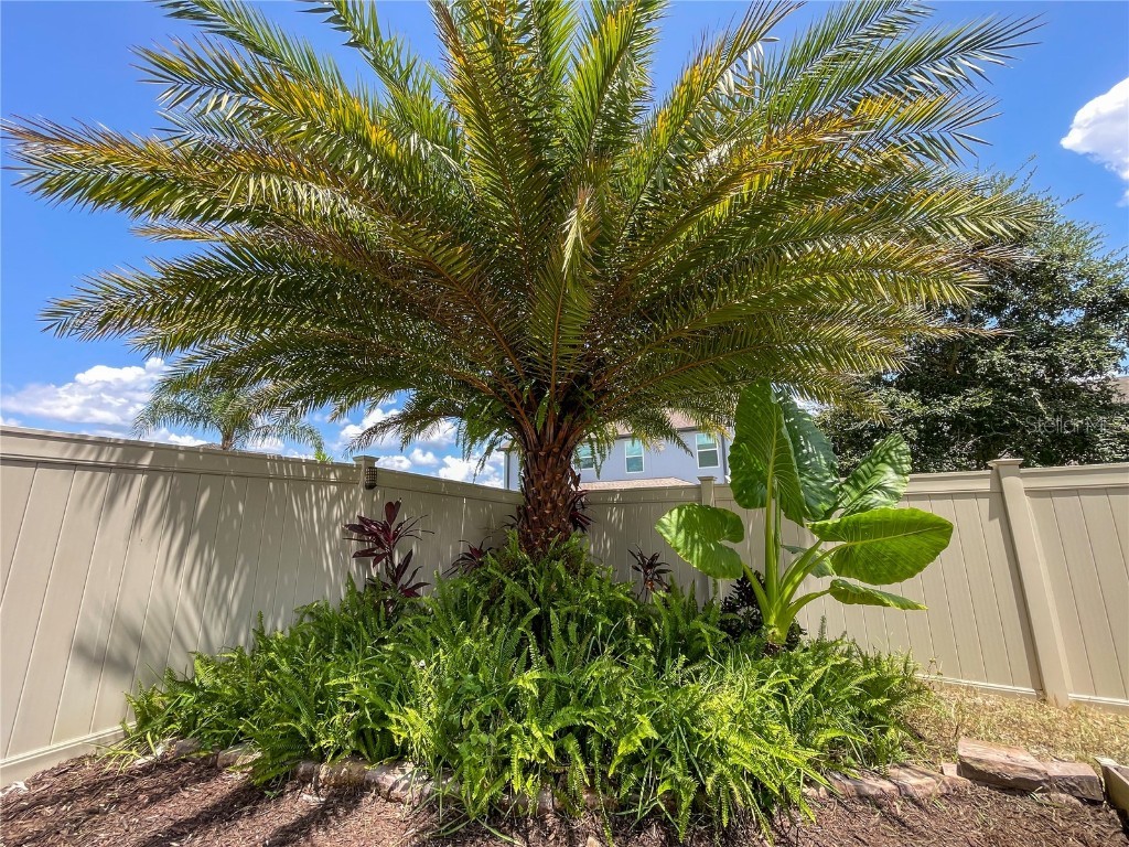 14253 Lake Preserve Orlando FL 32824 O6325872 image57