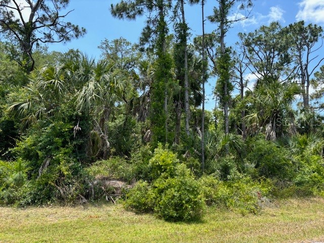 14255 Cain Avenue Port Charlotte FL 33953 C7492621 image1