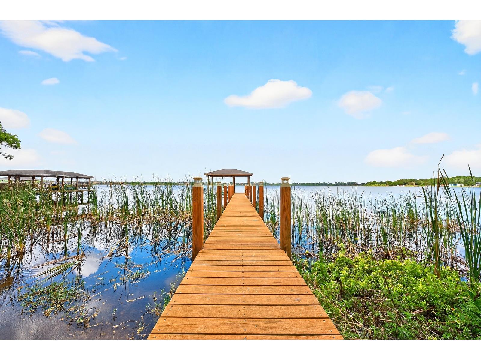 14255 Hampshire Bay Circle Winter Garden FL 34787 - Black Lake O6395612 image46