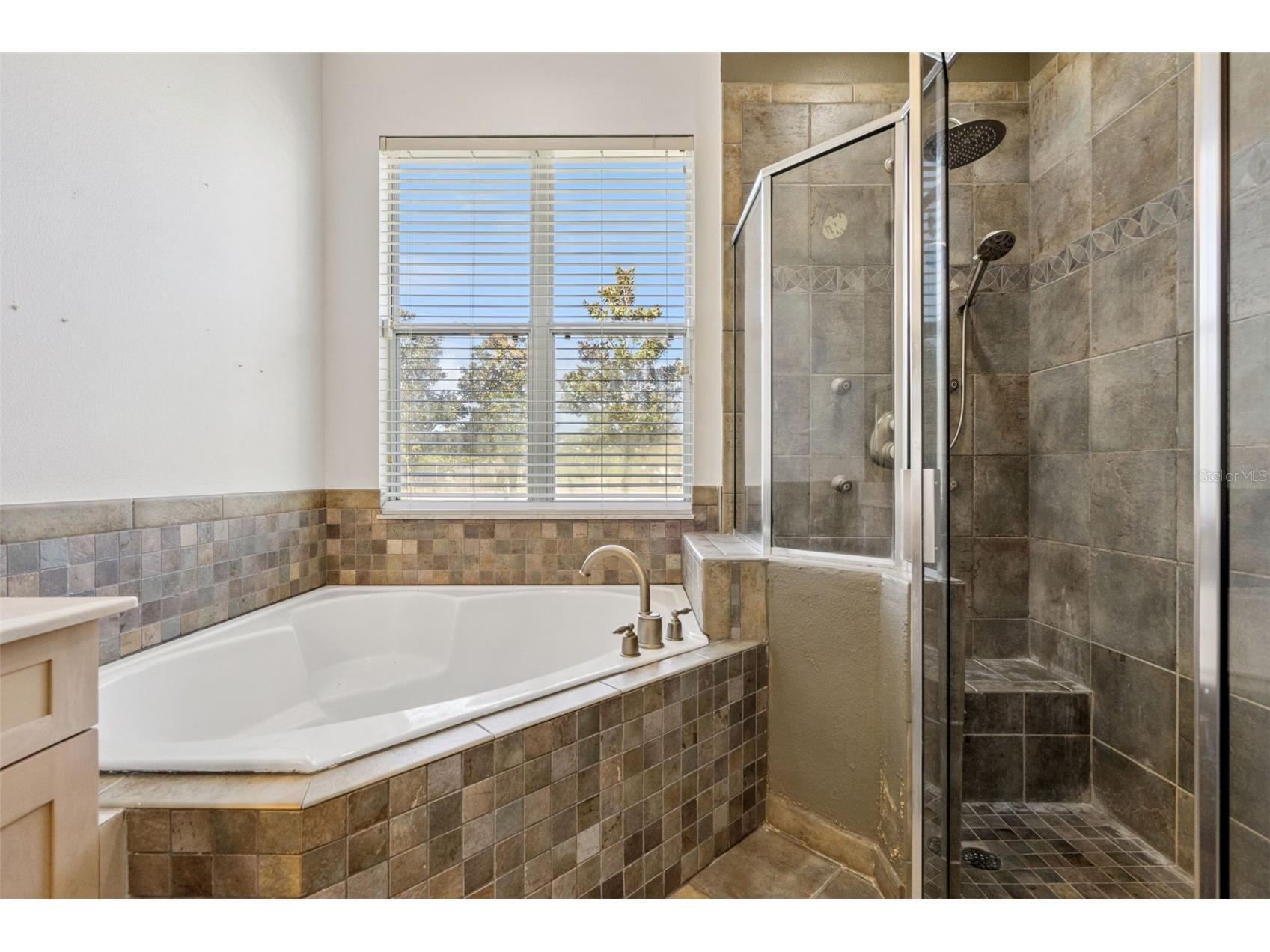 14255 Sonco Avenue Windermere FL 34786 - CAWOOD O6392262 image43