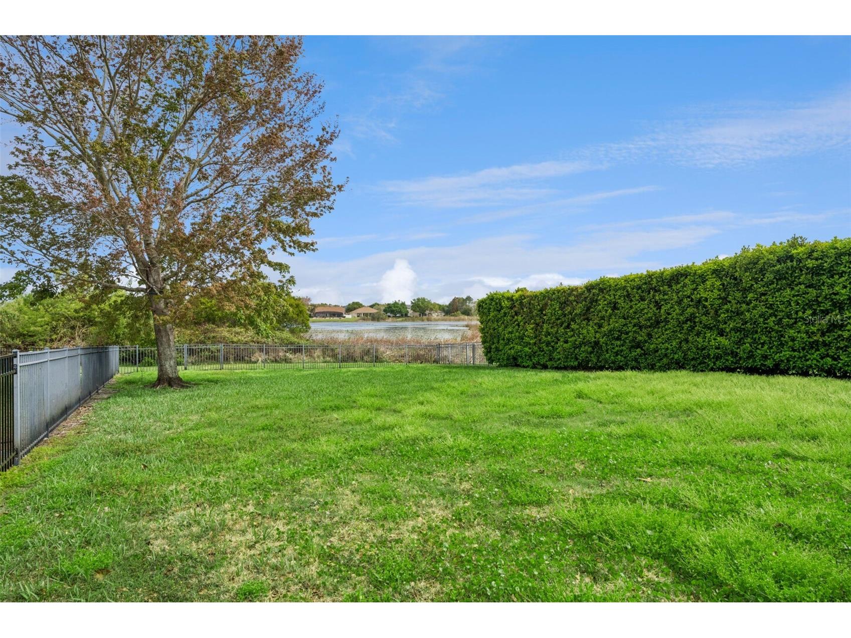 14255 Sonco Avenue Windermere FL 34786 - CAWOOD O6392262 image66