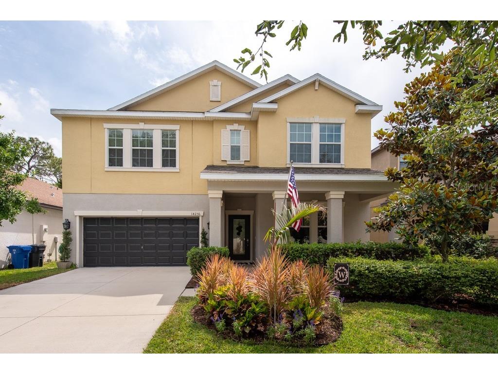 14256 Blue Dasher Drive Riverview FL 33569 T3443116 image1