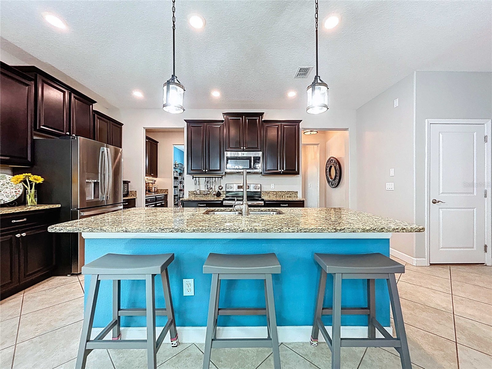 14256 Blue Dasher Drive Riverview FL 33569 TB8440394 image20