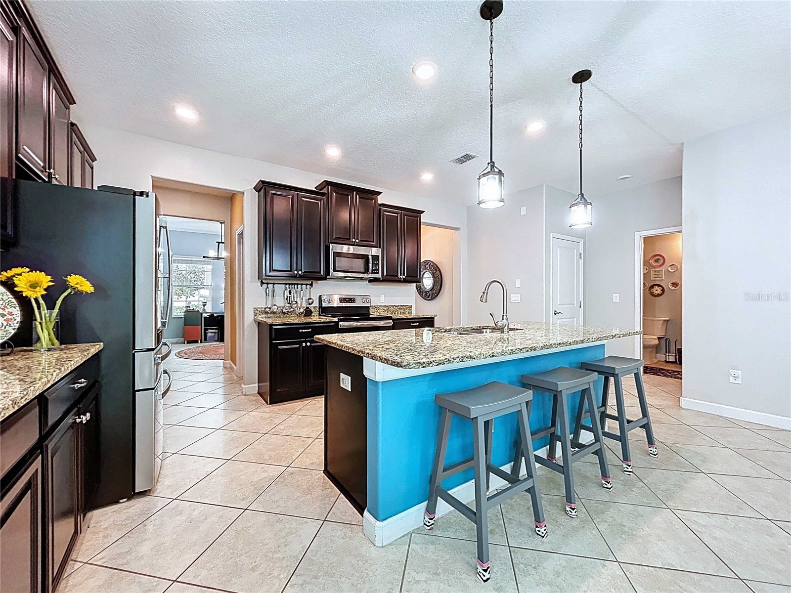 14256 Blue Dasher Drive Riverview FL 33569 TB8440394 image21