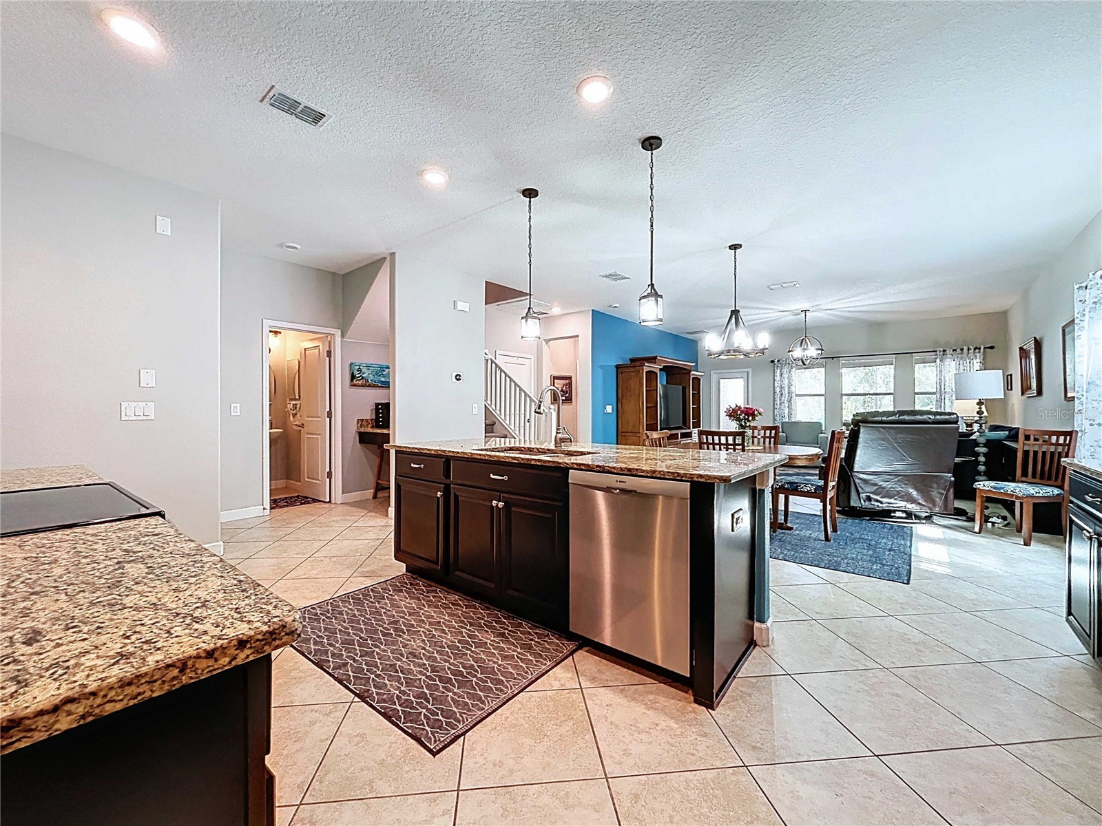 14256 Blue Dasher Drive Riverview FL 33569 TB8440394 image22