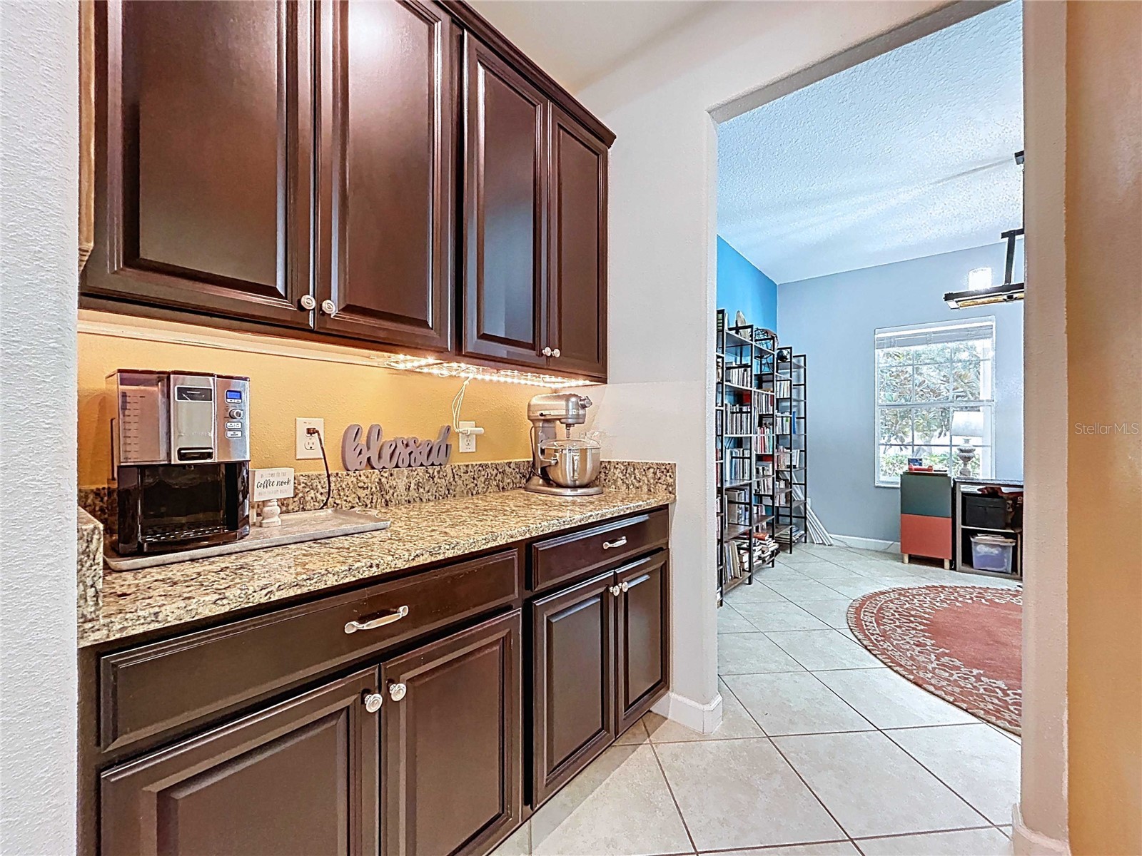 14256 Blue Dasher Drive Riverview FL 33569 TB8440394 image23