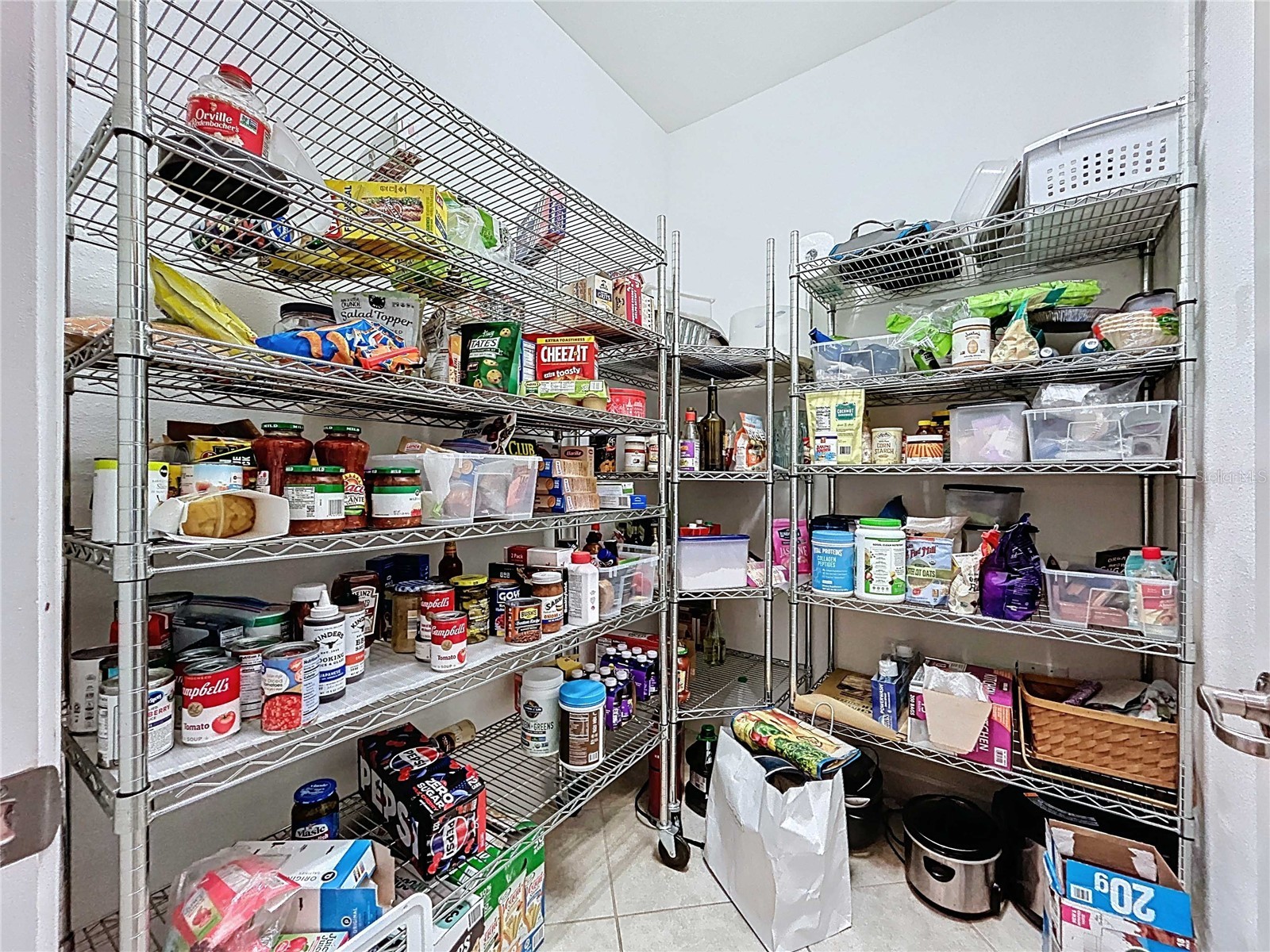 14256 Blue Dasher Drive Riverview FL 33569 TB8440394 image24