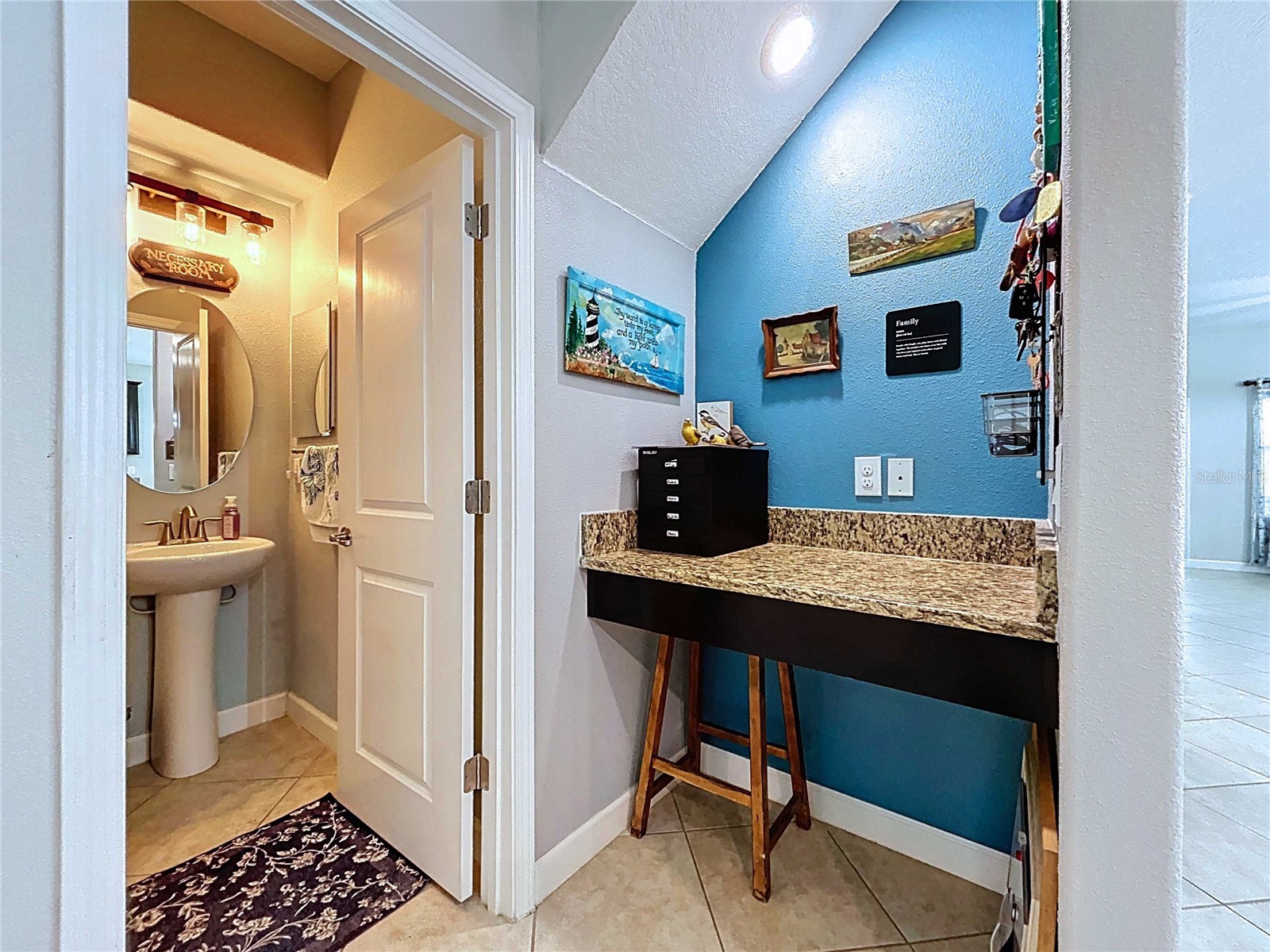 14256 Blue Dasher Drive Riverview FL 33569 TB8440394 image25