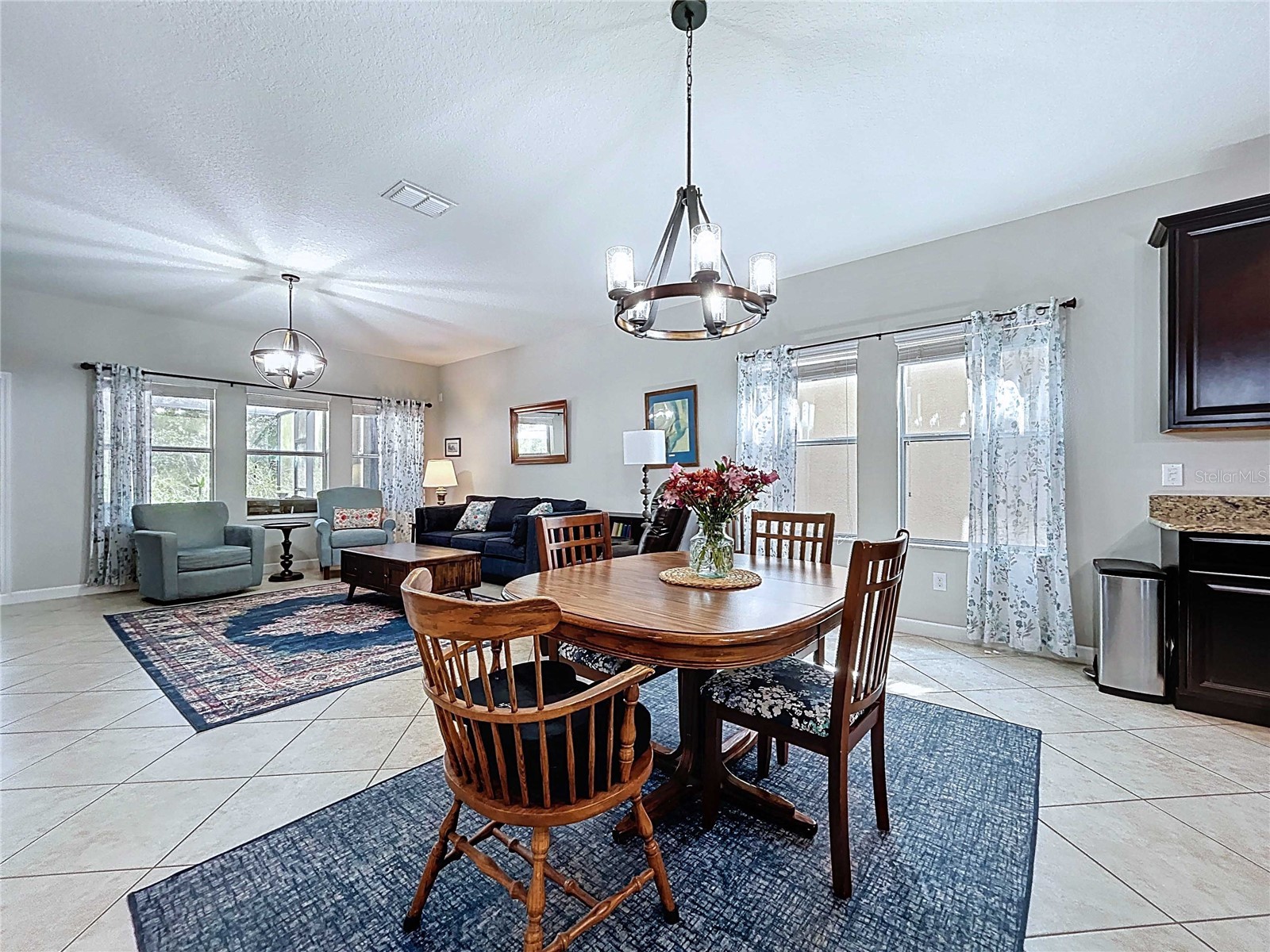 14256 Blue Dasher Drive Riverview FL 33569 TB8440394 image28