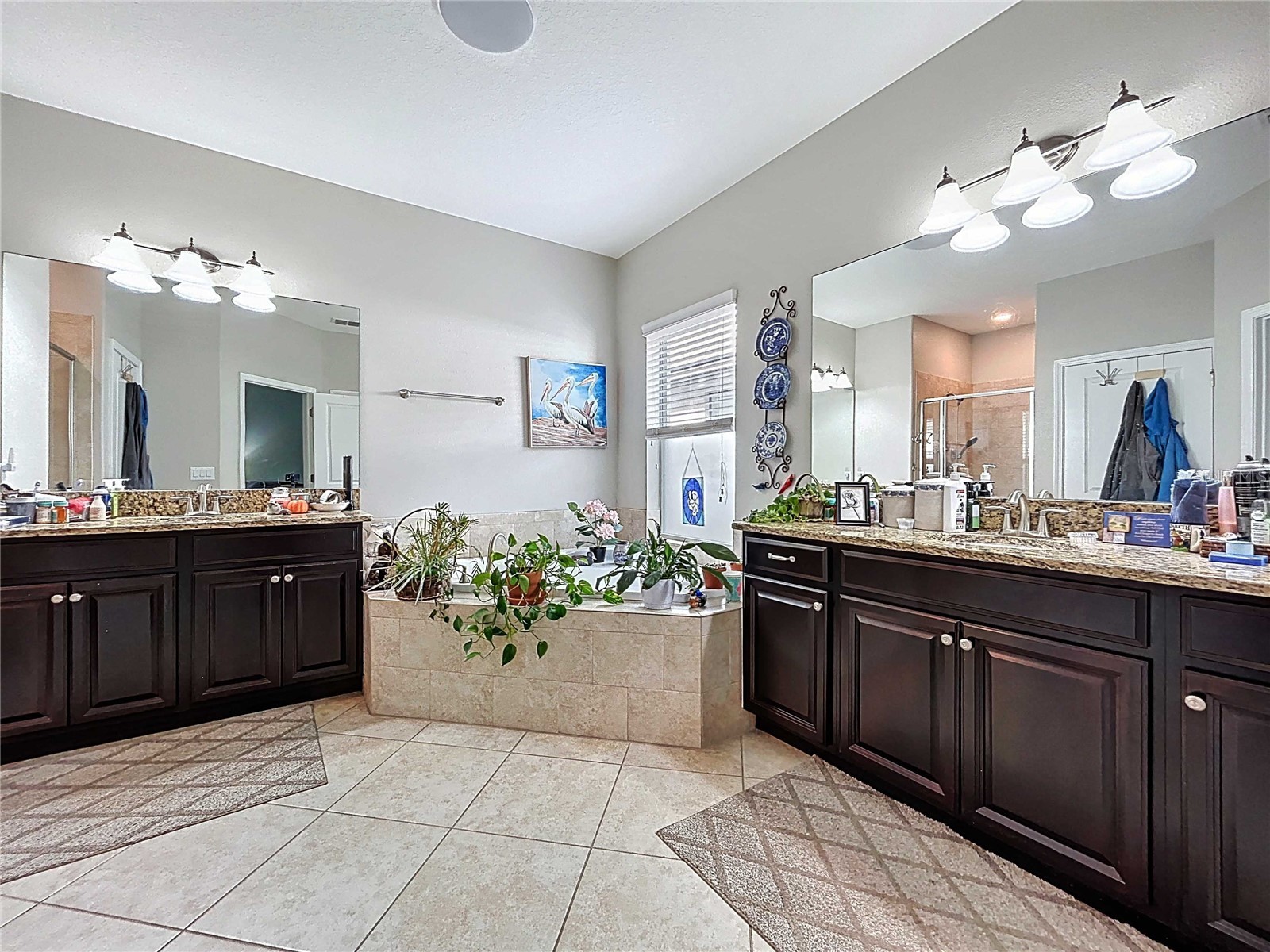 14256 Blue Dasher Drive Riverview FL 33569 TB8440394 image35