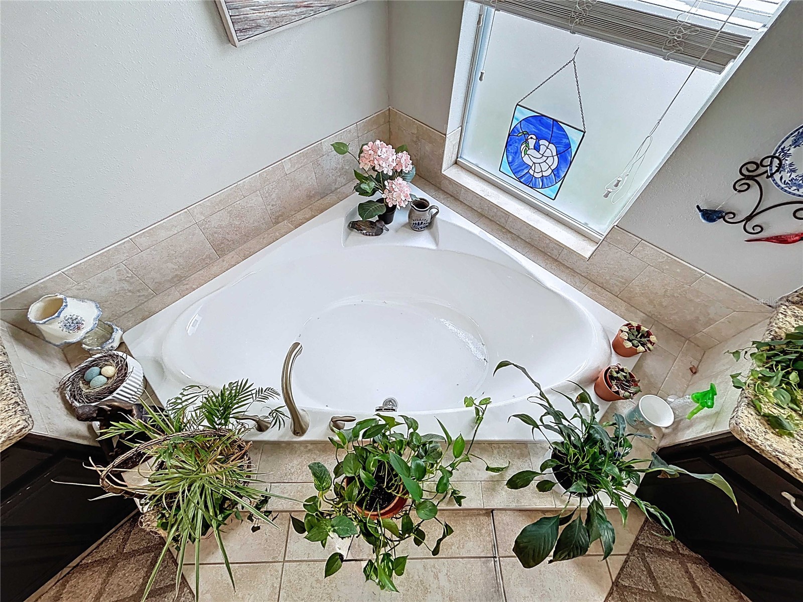 14256 Blue Dasher Drive Riverview FL 33569 TB8440394 image36