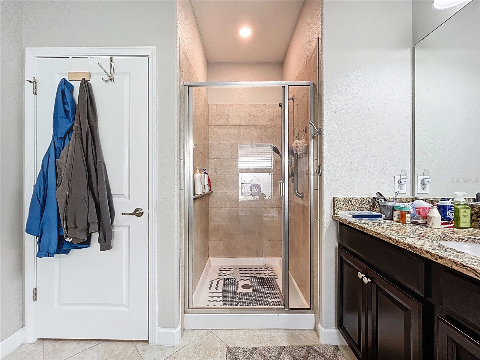 14256 Blue Dasher Drive Riverview FL 33569 TB8440394 image37