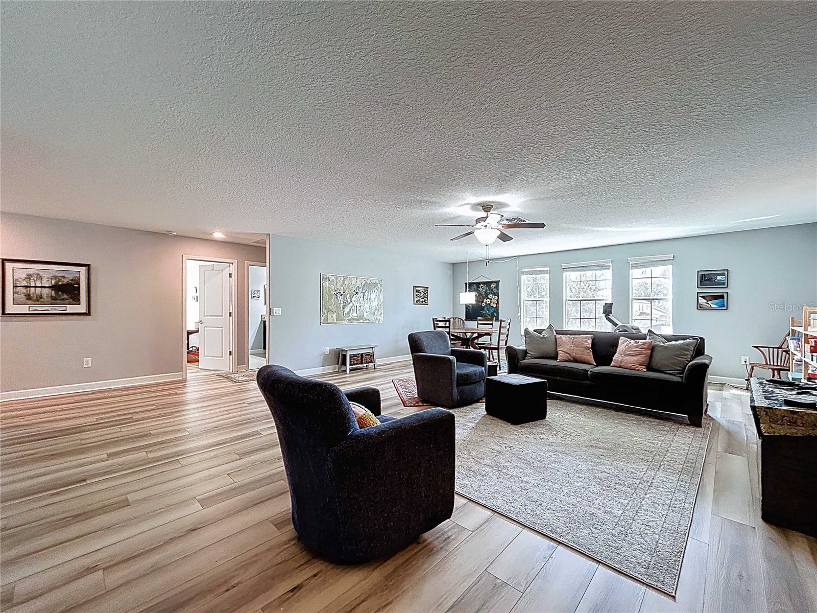 14256 Blue Dasher Drive Riverview FL 33569 TB8440394 image42