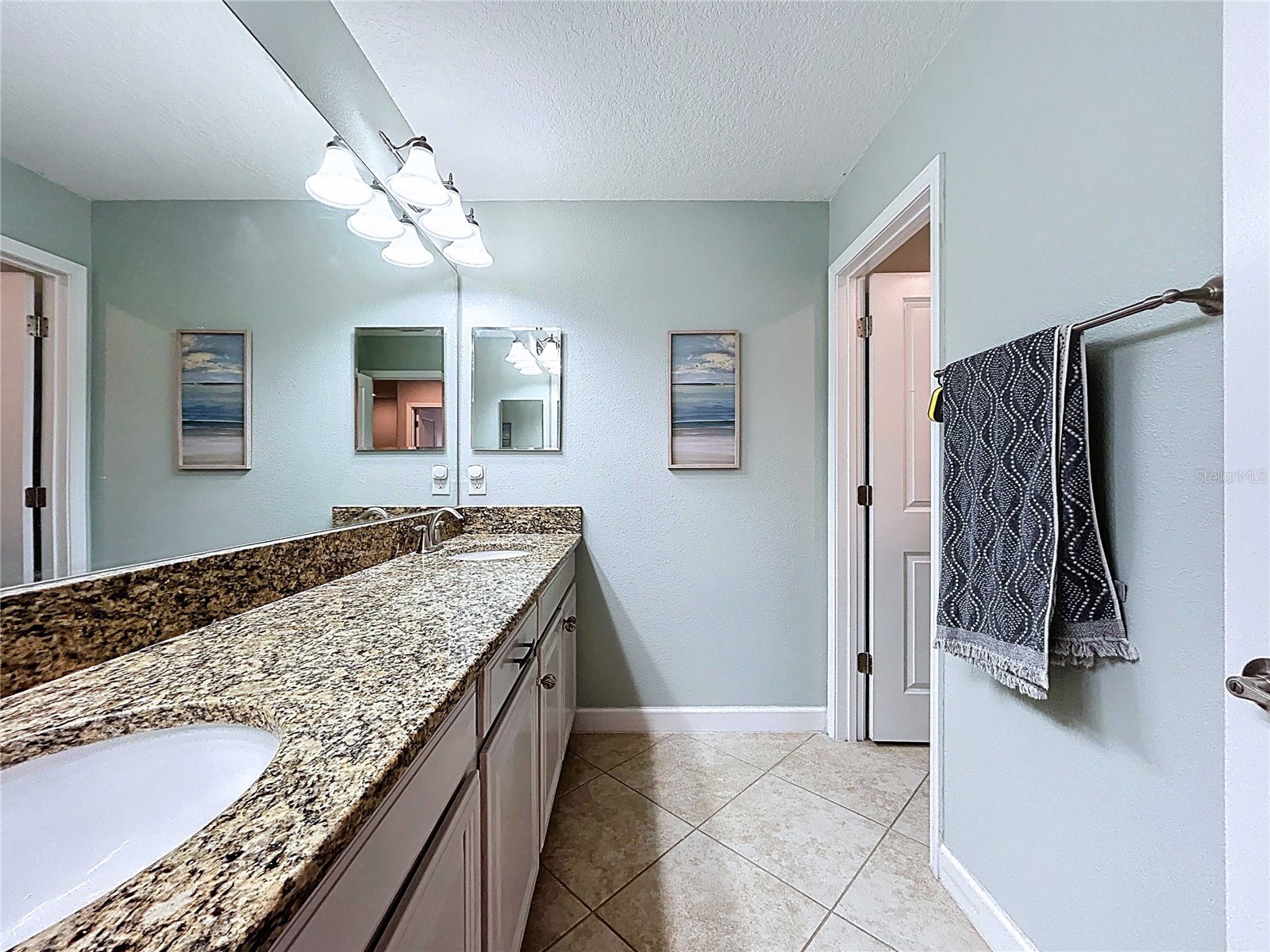 14256 Blue Dasher Drive Riverview FL 33569 TB8440394 image53