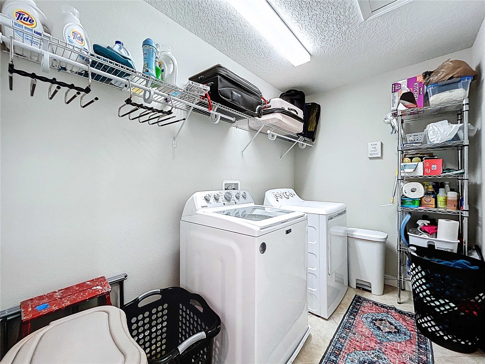 14256 Blue Dasher Drive Riverview FL 33569 TB8440394 image54