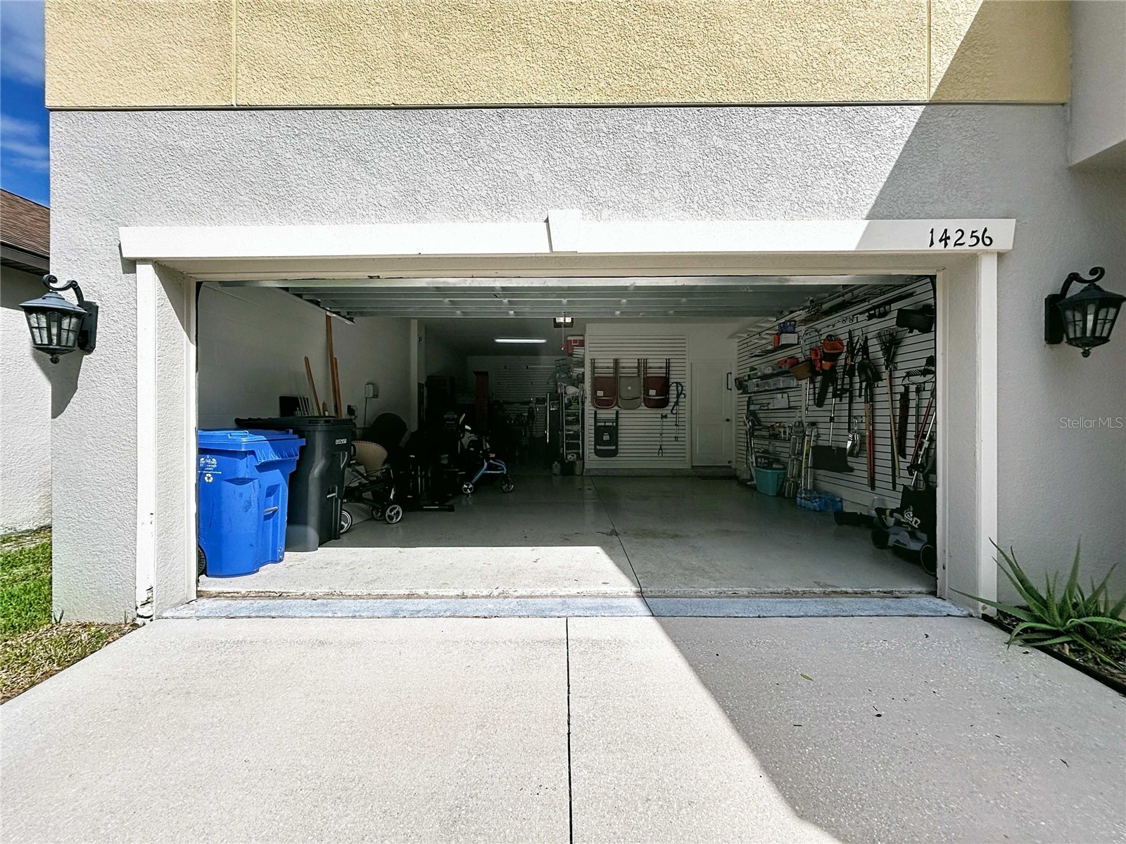 14256 Blue Dasher Drive Riverview FL 33569 TB8440394 image55