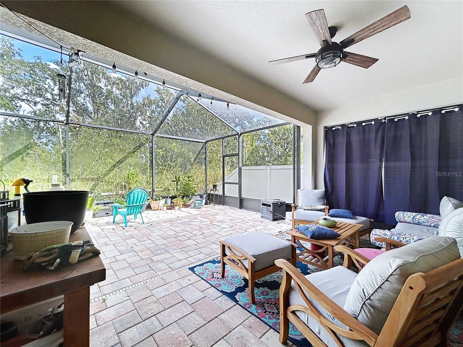 14256 Blue Dasher Drive Riverview FL 33569 TB8440394 image59