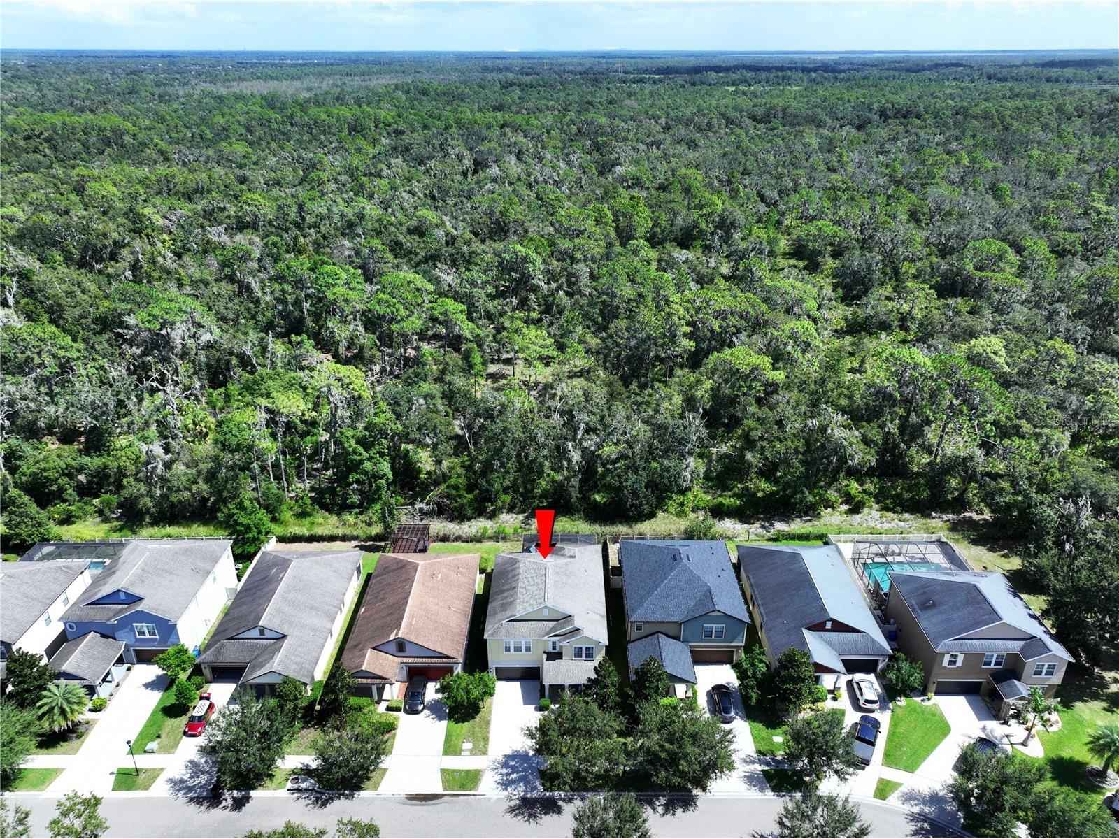 14256 Blue Dasher Drive Riverview FL 33569 TB8440394 image65