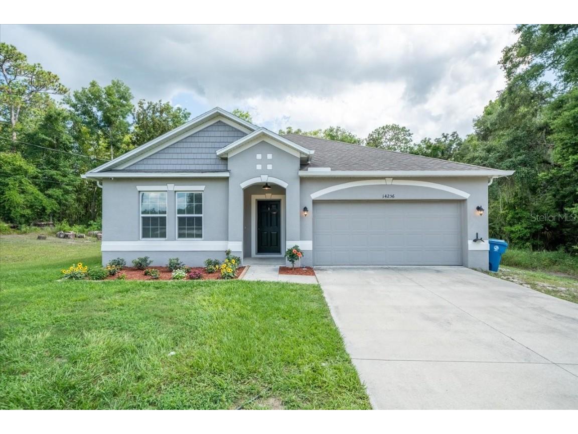 14256 Red Marlin Avenue Brooksville FL 34614 T3533532 image1