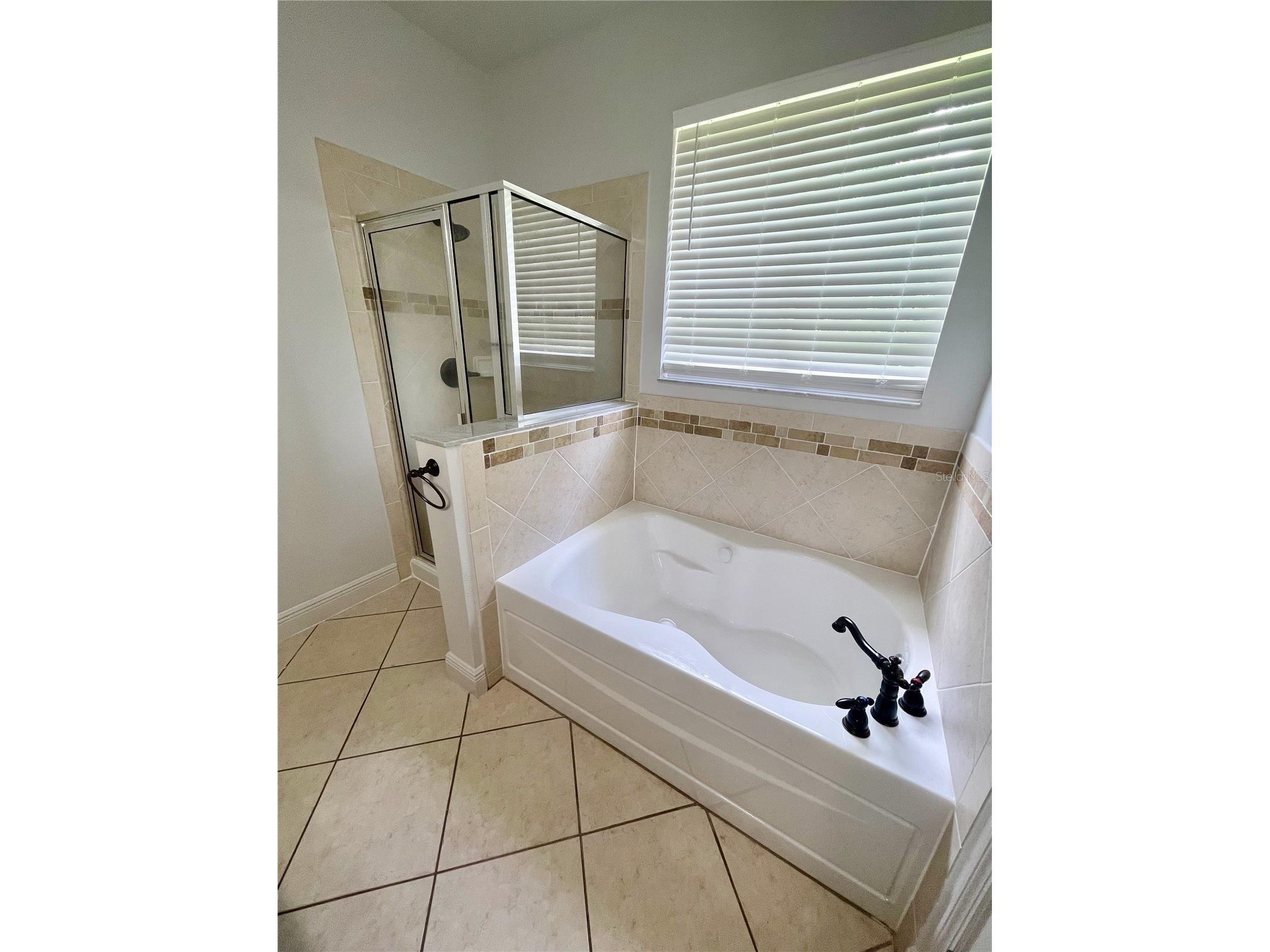 14257 Lagoon Cove Lane Winter Garden FL 34787 O6375296 image16