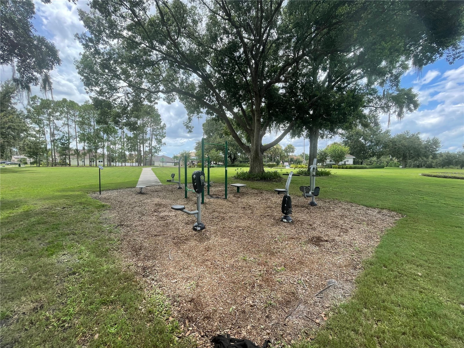 14257 Lagoon Cove Lane Winter Garden FL 34787 O6375296 image27